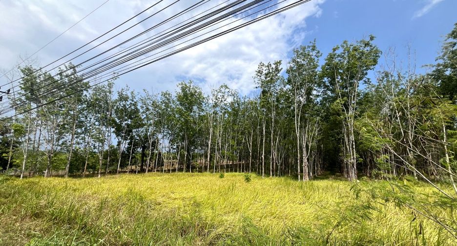 For sale land in Takua Thung, Phang Nga