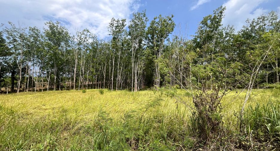 For sale land in Takua Thung, Phang Nga