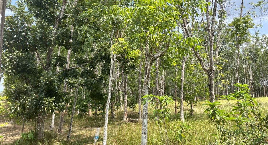 For sale land in Takua Thung, Phang Nga