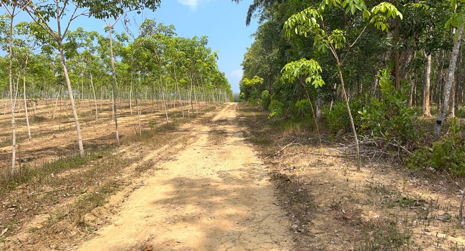 For sale land in Takua Thung, Phang Nga