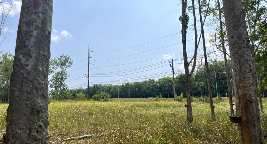 For sale land in Takua Thung, Phang Nga