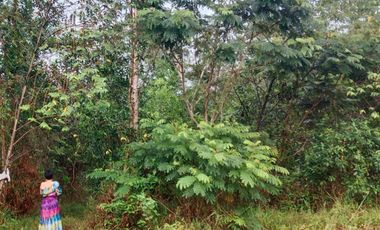 For sale land in Khlong Yai, Trat