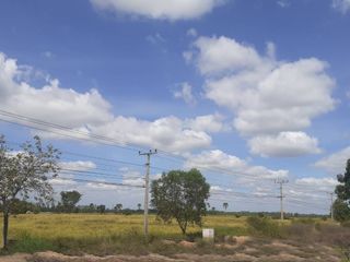 For sale land in Khong, Nakhon Ratchasima