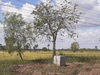 For sale land in Khong, Nakhon Ratchasima
