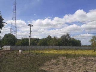 For sale land in Khong, Nakhon Ratchasima