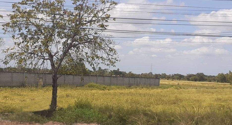 For sale land in Khong, Nakhon Ratchasima