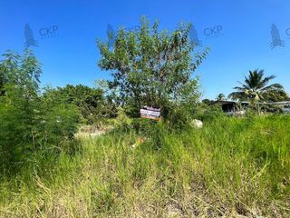 ขาย ที่ดิน ใน กำแพงแสน, นครปฐม