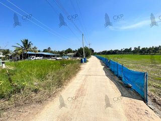 ขาย ที่ดิน ใน กำแพงแสน, นครปฐม