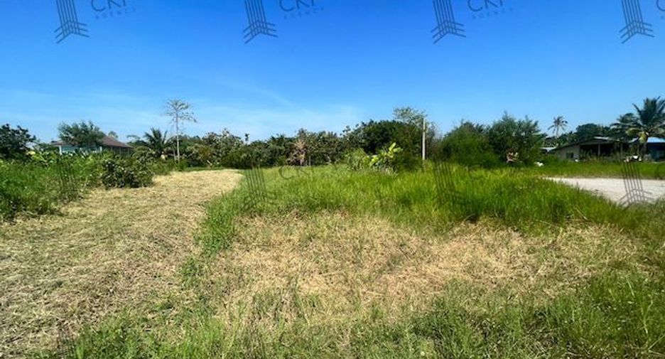 Terreno en venta en Kamphaeng Saen, Nakhon Pathom