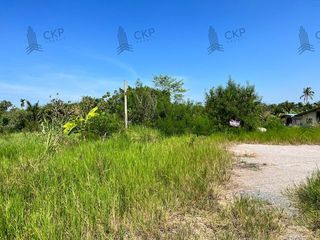 ขาย ที่ดิน ใน กำแพงแสน, นครปฐม