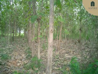 For sale land in Dan Makham Tia, Kanchanaburi
