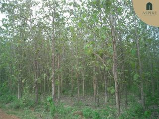 For sale land in Dan Makham Tia, Kanchanaburi