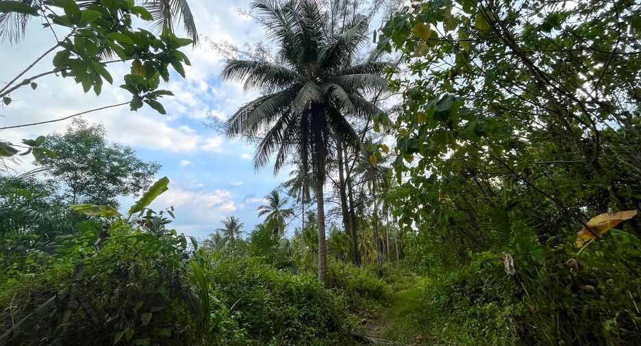 Terreno en venta en Takua Pa, Phang Nga