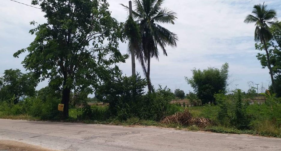 For sale land in Khlong Khlung, Kamphaeng Phet