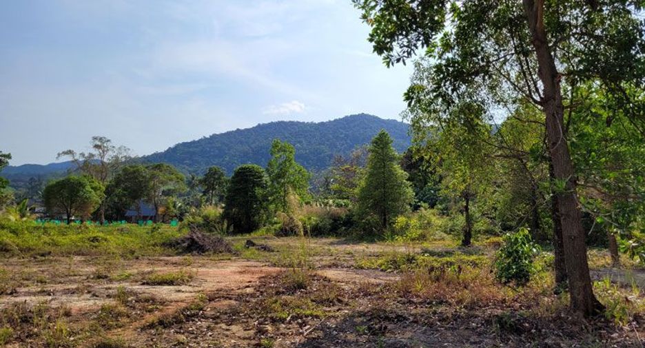 For sale land in Ko Chang, Trat