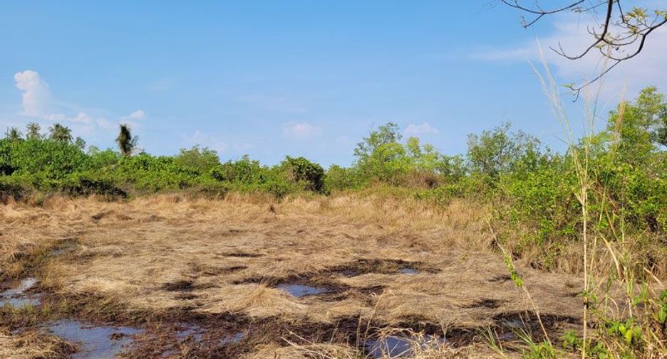For sale land in Ko Chang, Trat