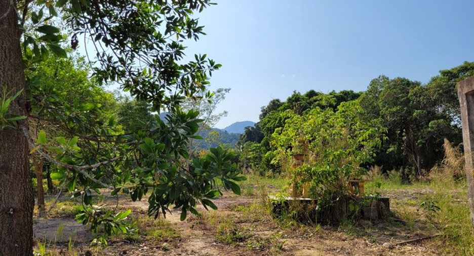 For sale land in Ko Chang, Trat