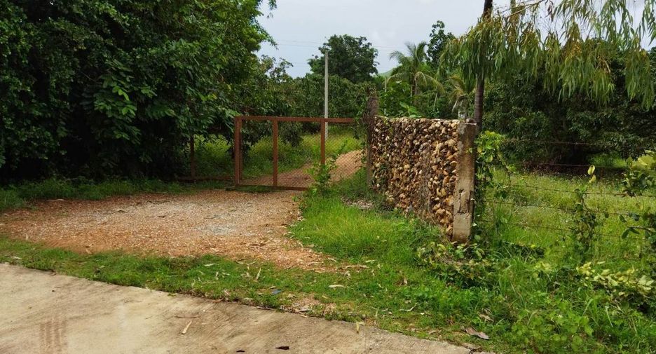 For sale land in Mae Tha, Lamphun