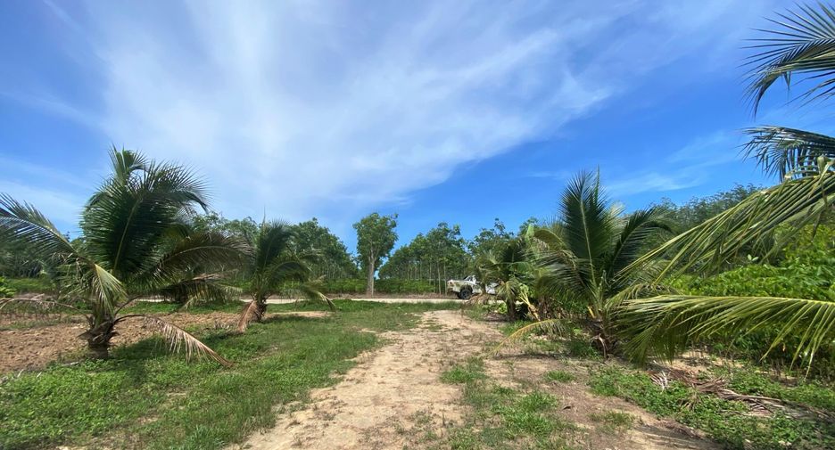 For sale land in Takua Thung, Phang Nga