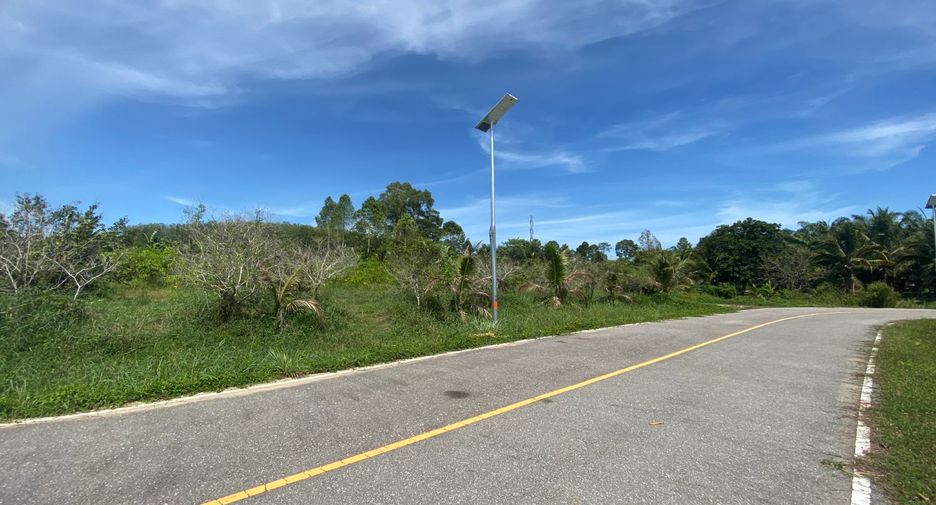 For sale land in Takua Thung, Phang Nga