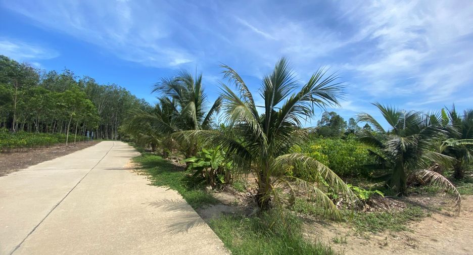 For sale land in Takua Thung, Phang Nga