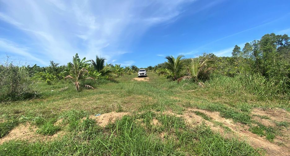 For sale land in Takua Thung, Phang Nga