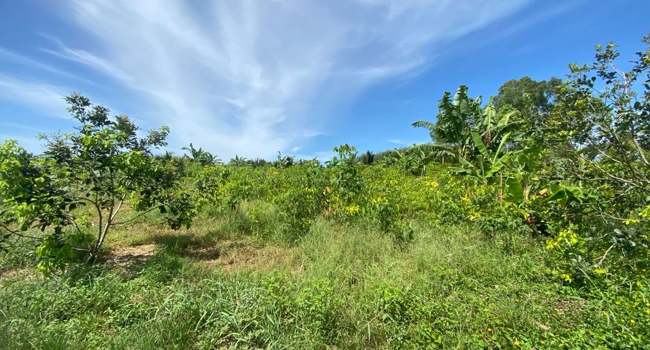 For sale land in Takua Thung, Phang Nga