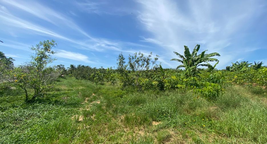 For sale land in Takua Thung, Phang Nga