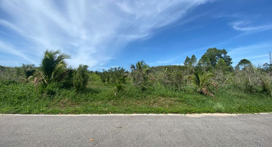 For sale land in Takua Thung, Phang Nga