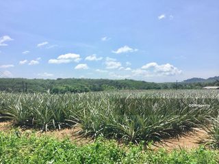 For sale land in Khao Saming, Trat