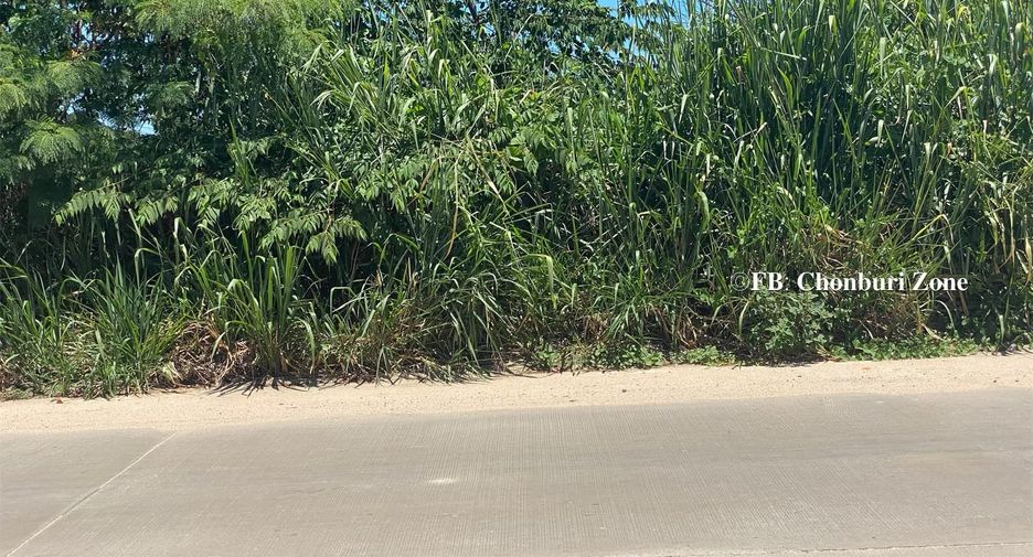 For rent and for sale land in Si Racha, Chonburi