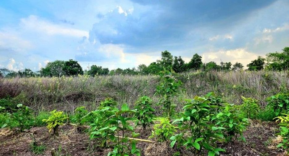 For sale land in Thanyaburi, Pathum Thani