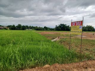 ขาย ที่ดิน ใน เมืองพิษณุโลก, พิษณุโลก