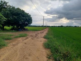 ขาย ที่ดิน ใน เมืองพิษณุโลก, พิษณุโลก