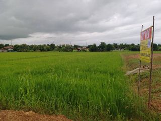 ขาย ที่ดิน ใน เมืองพิษณุโลก, พิษณุโลก