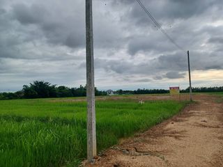 ขาย ที่ดิน ใน เมืองพิษณุโลก, พิษณุโลก