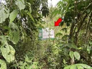 出售 土地 在 Kapho, Pattani