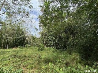 出售 土地 在 Kapho, Pattani