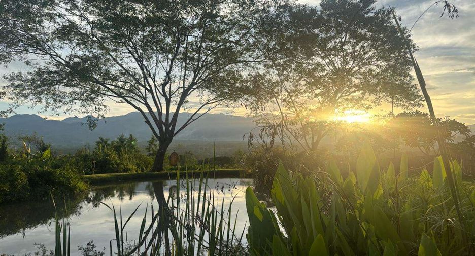 For sale 2 bedrooms house in Pai, Mae Hong Son
