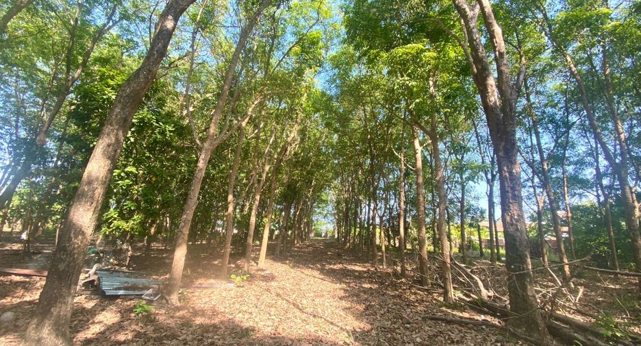 Grundstück zum Kauf in Mueang Phuket, Phuket