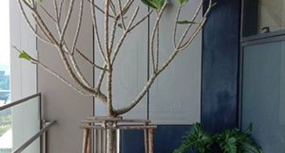 For rent そして for sale 2 ベッドルーム condo in Sathon, Bangkok