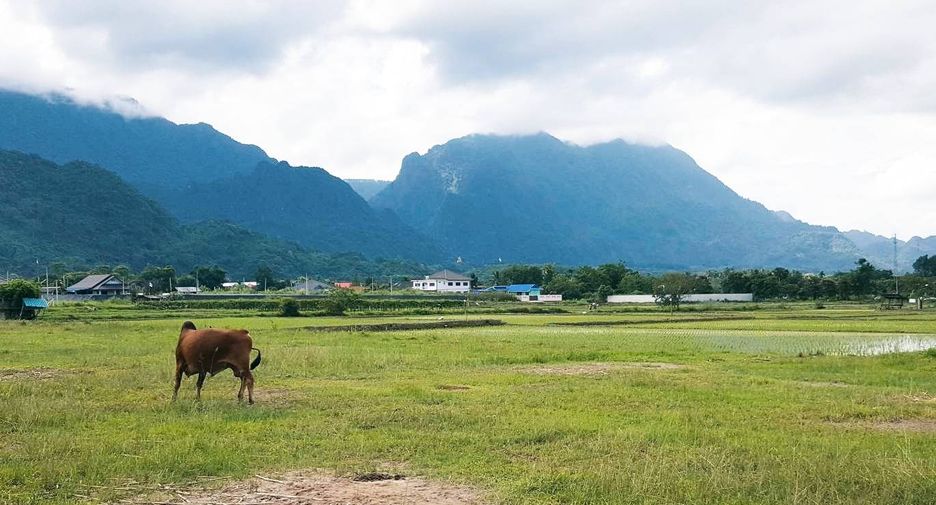 For sale land in Mae Sai, Chiang Rai