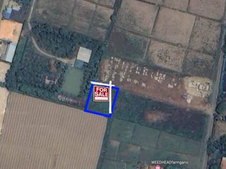 For sale land in Mae Sai, Chiang Rai