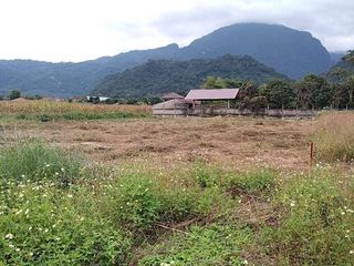 For sale land in Mae Sai, Chiang Rai