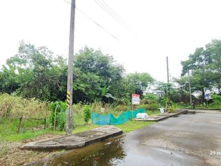 For sale land in Mueang Nakhon Si Thammarat, Nakhon Si Thammarat