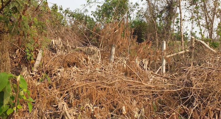 For sale land in Mae Sai, Chiang Rai