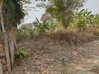 For sale land in Mae Sai, Chiang Rai