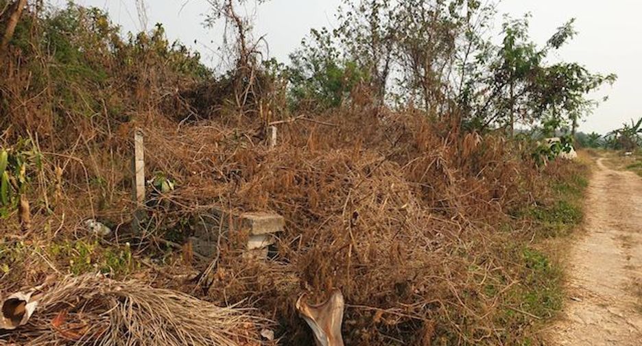 For sale land in Mae Sai, Chiang Rai