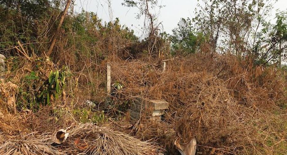 For sale land in Mae Sai, Chiang Rai