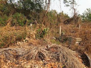 For sale land in Mae Sai, Chiang Rai